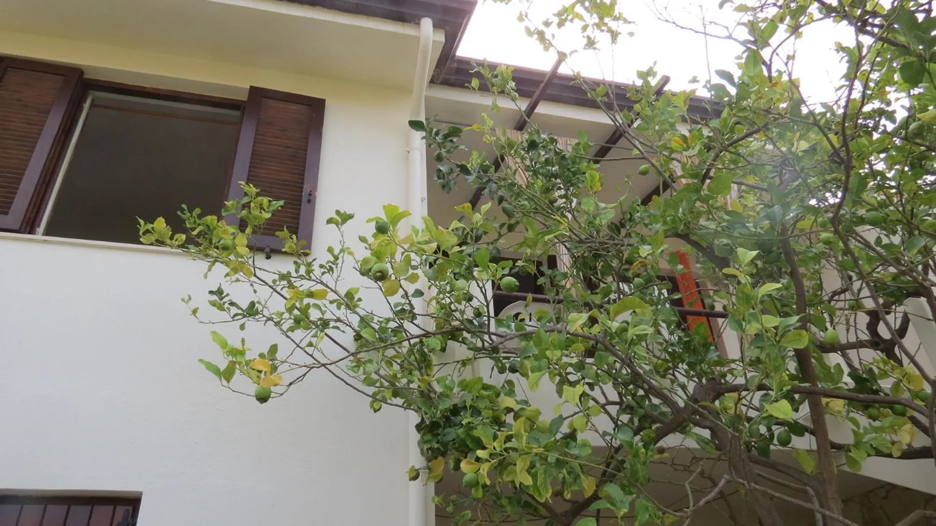 Villa Al Mare In Ogliastra Àrbatax Italia